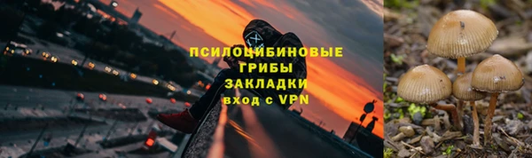 ALPHA-PVP Няндома