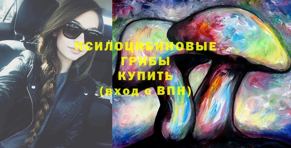 молекула духа Нягань