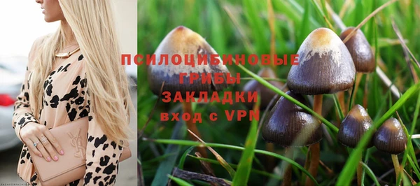 ALPHA-PVP Няндома